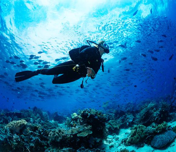 The best places for scuba diving in Ibiza Invisa Hotels