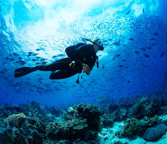 The best places for scuba diving in Ibiza Invisa Hotels The best places for scuba diving in Ibiza Invisa Hotels