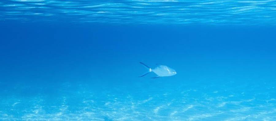 10 Must - Do Activities While You're in Formentera Invisa Hotels 10 Must - Do Activities While You're in Formentera Invisa Hotels