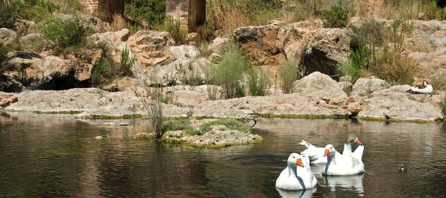 Ibiza, the Perfect Honeymoon Destination Invisa Hotels Ibiza, the Perfect Honeymoon Destination Invisa Hotels