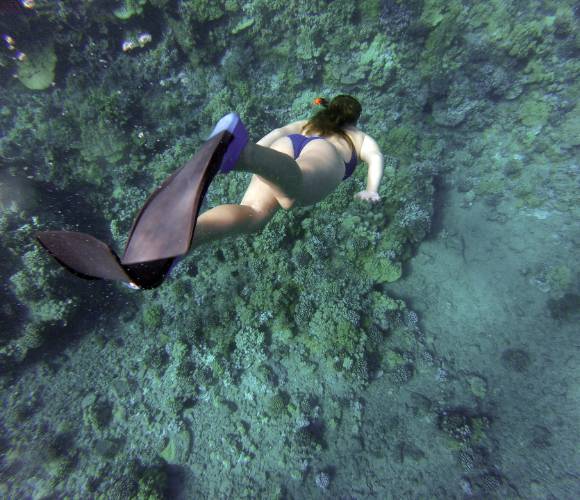 Scuba diving in Ibiza Invisa Hotels Scuba diving in Ibiza Invisa Hotels