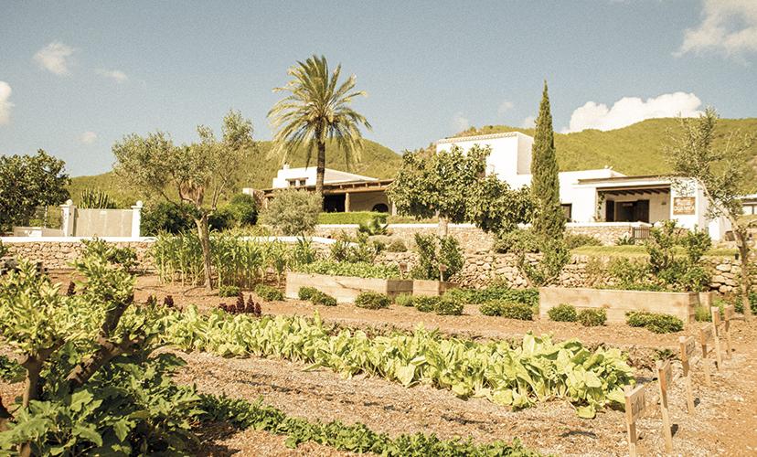 Agrotourism in Ibiza: the most peaceful side of the island Invisa Hotels Agrotourism in Ibiza: the most peaceful side of the island Invisa Hotels