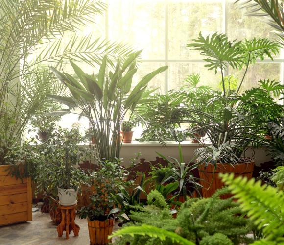 Bibo Park Ibiza: explore this magical biotechnological botanical garden Invisa Hotels Bibo Park Ibiza: explore this magical biotechnological botanical garden Invisa Hotels