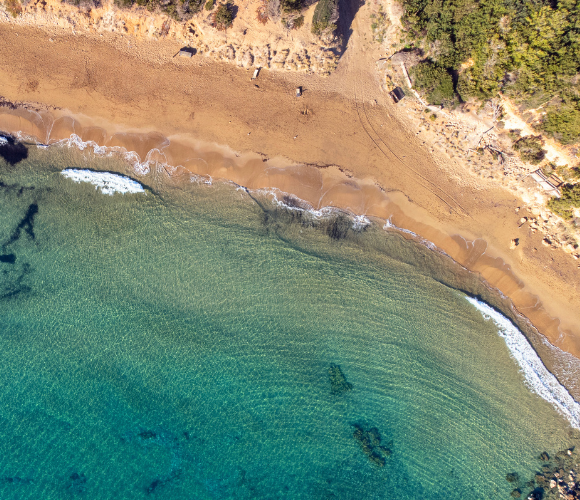 Guide de bonnes pratiques pour un tourisme durable à Ibiza Invisa Hôtels Guide de bonnes pratiques pour un tourisme durable à Ibiza Invisa Hôtels