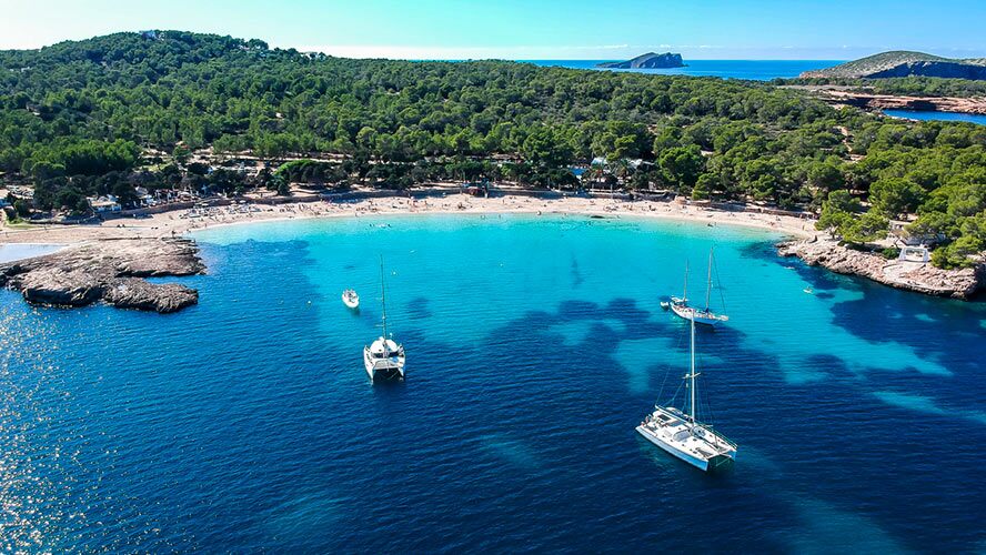 Cala Bassa: your ultimate guide to Ibiza's turquoise gem